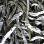 Tonyeong dried anchovy
