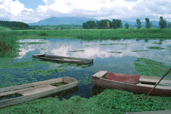 牛浦湿地 file Image