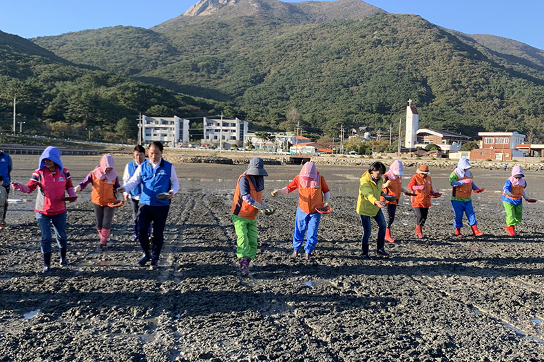 도정뉴스20191031경상남도수산자원연구소바지락인공종자시험살포2.jpg