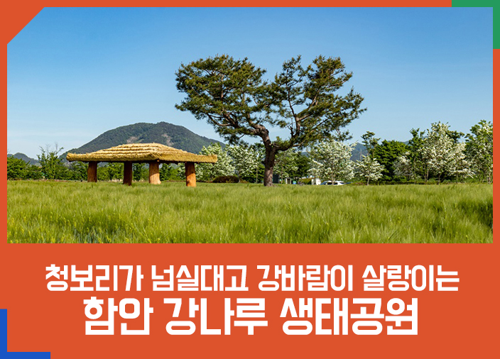 함안강나루생태공원.jpg