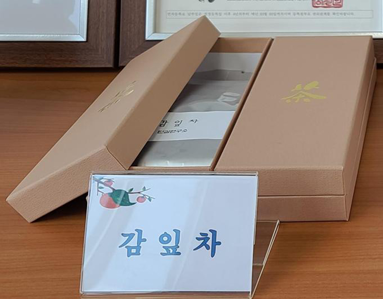 봄한정판감잎차,지금이수확적기.jpg