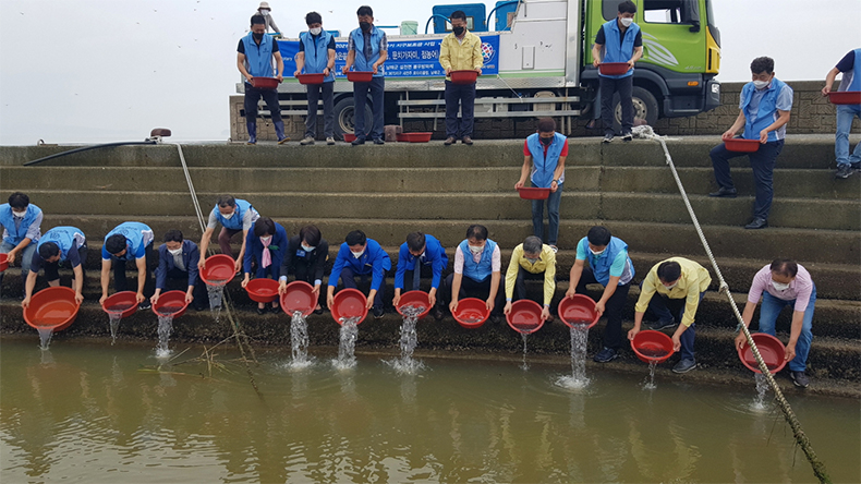 남해군,수산자원증대를위한무상방류시행.jpg