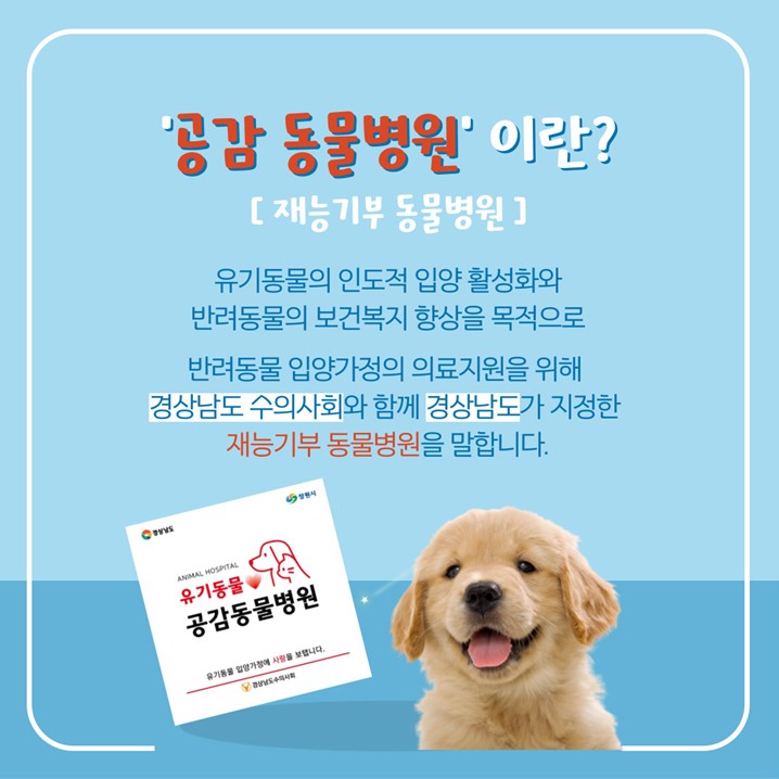 공감동물병원카드뉴스(2번).jpg