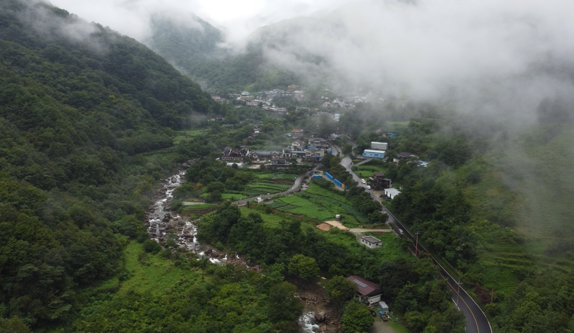 하동탄소없는마을(의신베어빌리지).jpg