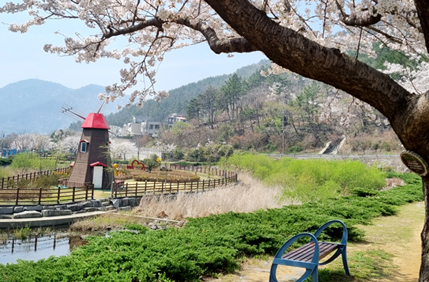 제9경 용두공원과 청룡사 겹벚꽃