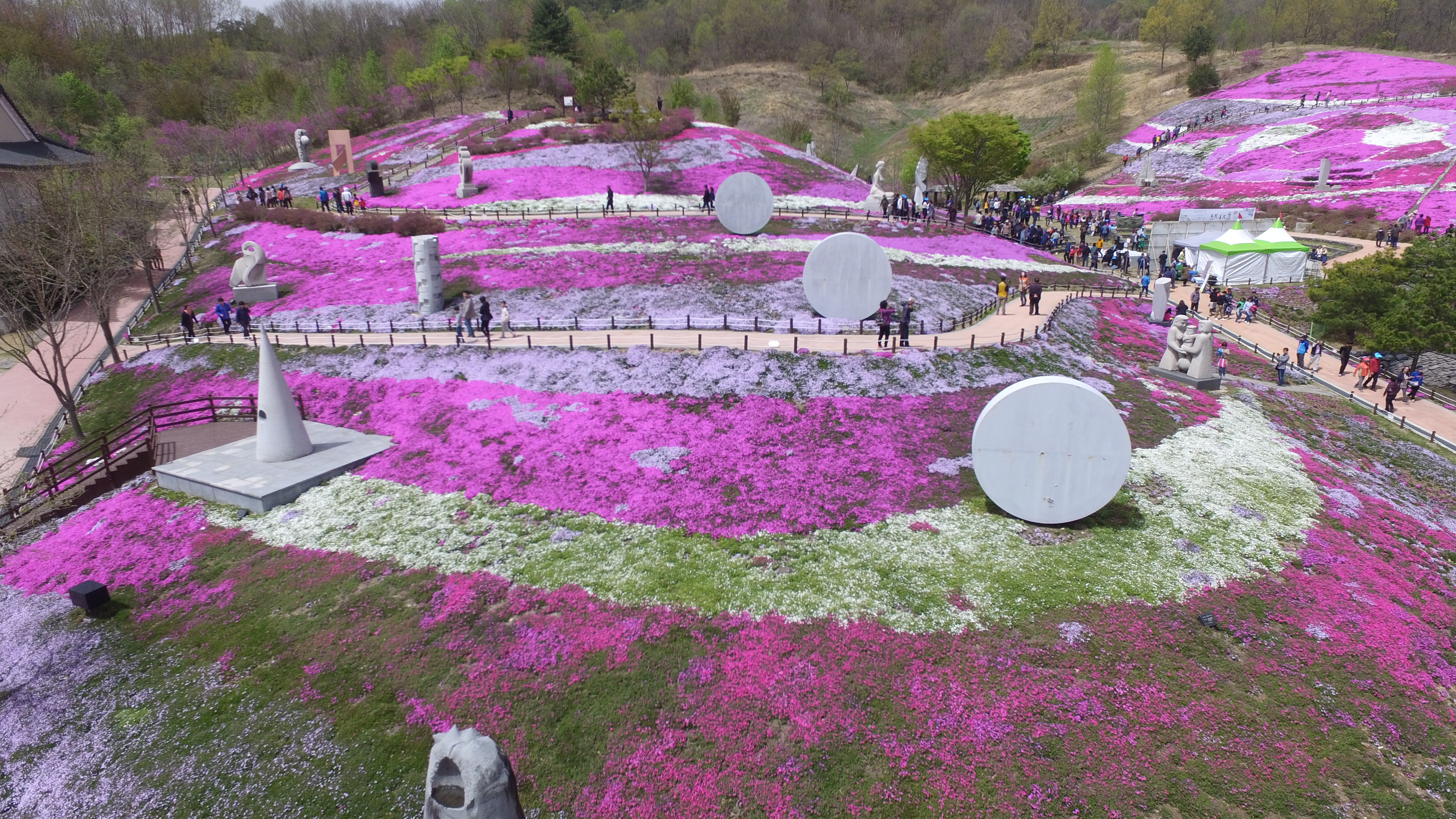생초조각공원 꽃잔디축제의 파일 이미지1